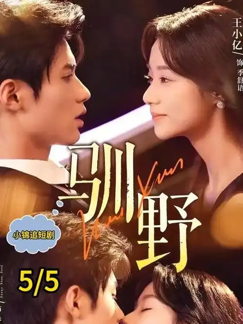 电视剧海报：承欢记·时光